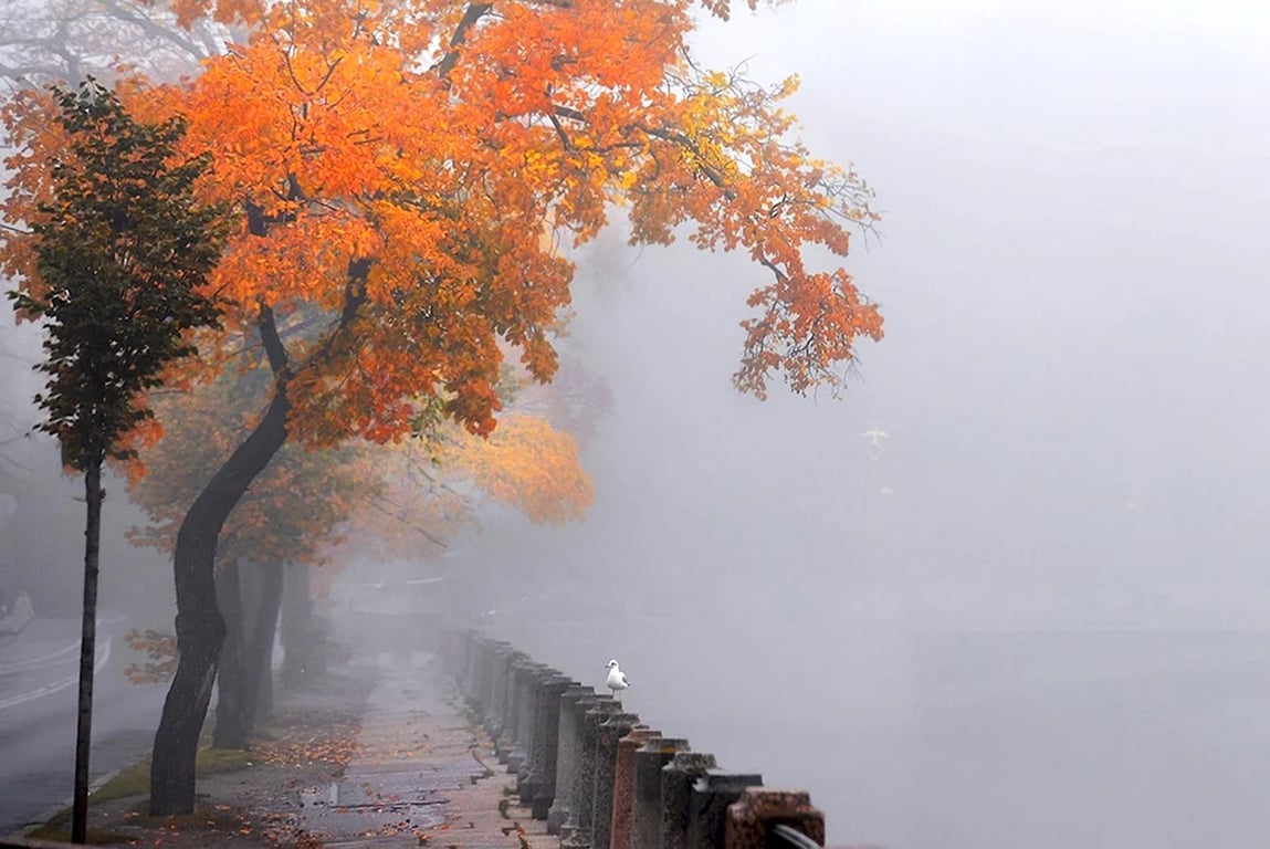 Народні прикмети та традиції на 25 жовтня