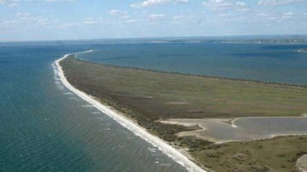 РФ знищує заповідники та екологію Чорного моря, — Плетенчук - 290x166