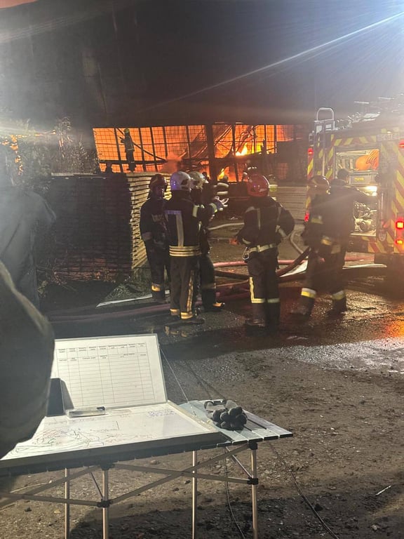 Пожар во Львовской области 16 октября