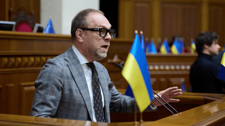 Одобрение Конвенции о компенсациях в ПАСЕ: Власенко назвал причастных - 290x160