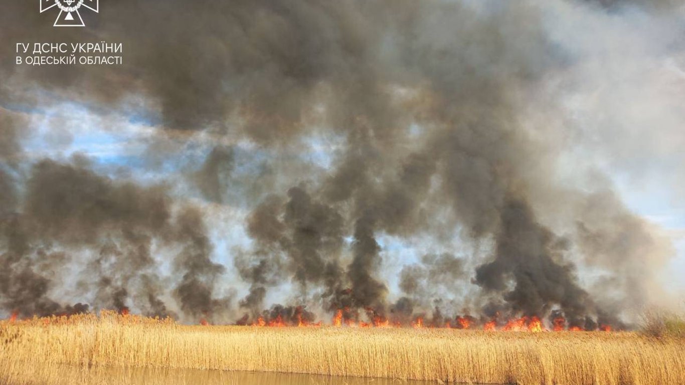В Одесской области горят поля