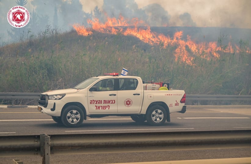 В Ізраїлі вирують нищівні пожежі — які наслідки - фото 2