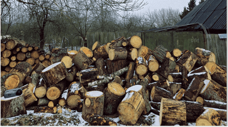 Колотые дрова или целые поленья — что выбрать в 2025 году - 285x160