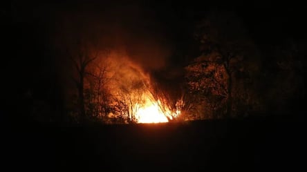 Гучні вибухи лунають у Миколаєві: ворожа атака - 285x160