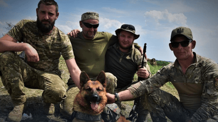 Як вівчарка допомагає миколаївським морпіхам у боротьбі проти ворога - 285x160