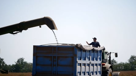 В Україні почав дешевшати ячмінь — ціни на зернові у жовтні - 285x160