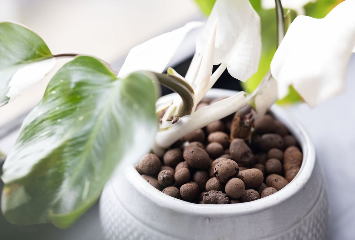 Много глиняных шариков в горшке