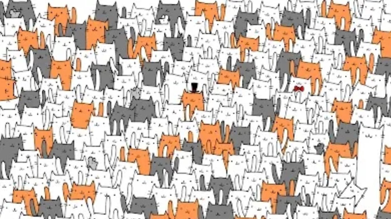 Оптическая головоломка: только 2% быстро найдут кролика среди сотни котов