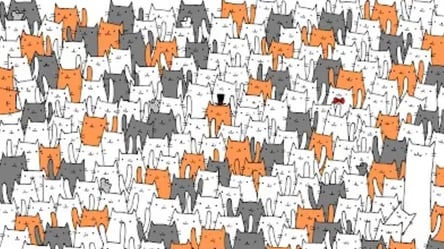 Сотні котів та один кролик — лише 2% знайдуть вухатого за 10 секунд - 285x160