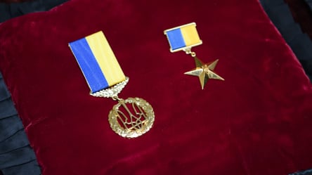 Высшая государственная награда даст право на немалые выплаты и льготы: какие именно - 285x160