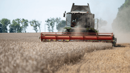 Ціни на пшеницю в Україні — скільки коштує тонна зерна в червні - 285x160