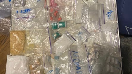 ​​​​​​​Столична поліція викрила схему розповсюдження наркотиків: заборонені речовини ховали в жолудях - 285x160