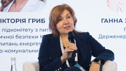 Вибори в Україні — нардепка назвала недоліки голосування у "Дії" - 290x166