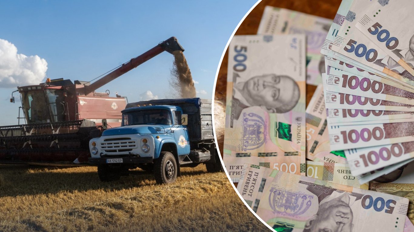 Ціни на зерно в Україні: скільки зараз коштує тонна ячменю