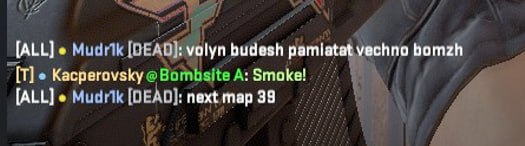 Михаил Мудрик