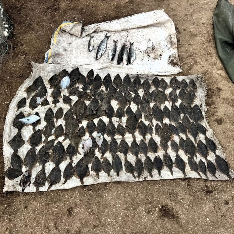 Незаконно виловлені камбала-глоса та кефаль на Одещині