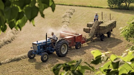 Рынок труда в Украине в июне — где в сельском хозяйстве платят самые большие зарплаты - 285x160