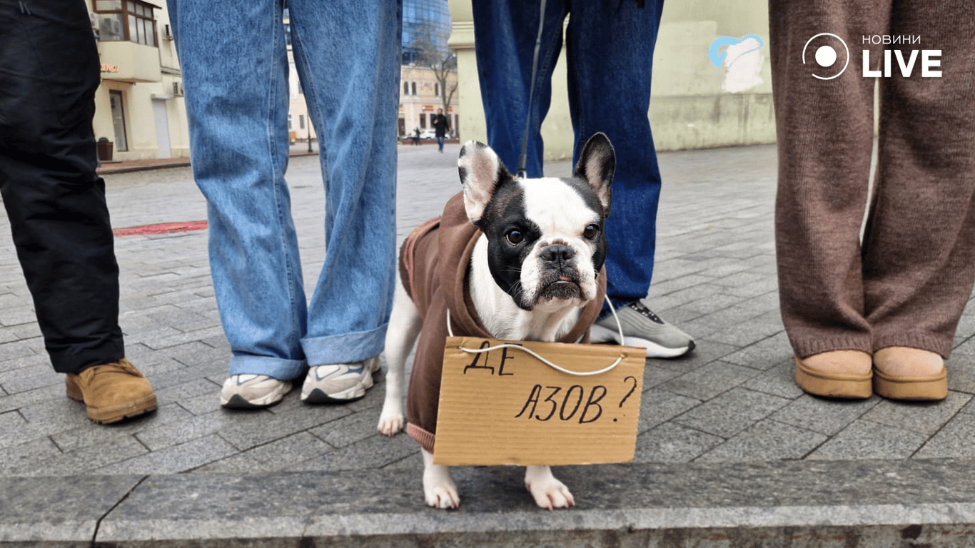 Акція FreeAzov — одесити вимагають звільнення полонених - фото 9