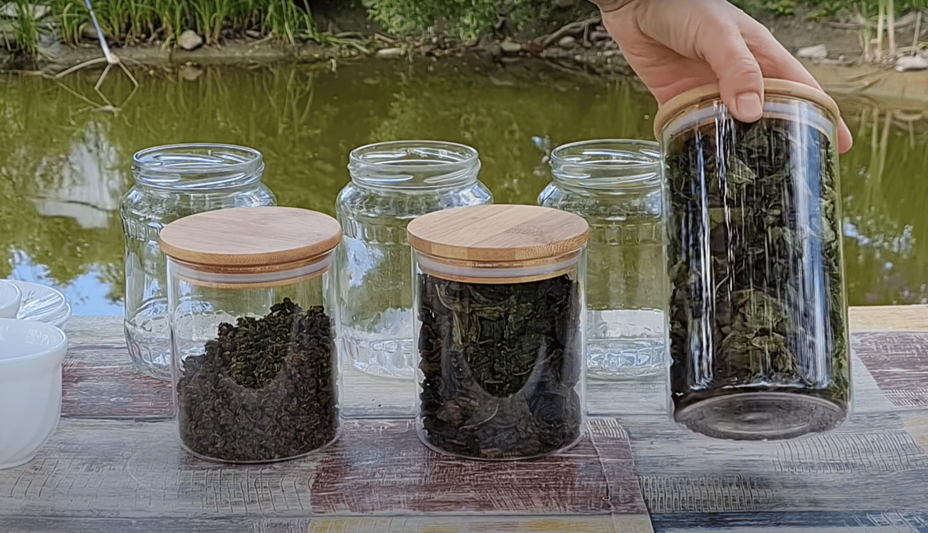 Хранение вишневых листьев на чай