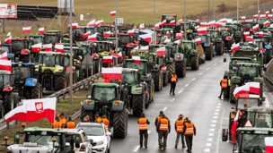 Протести на польському кордоні — що стоїть за конфліктом та як його вирішити - 285x160