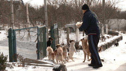 Рада заборонила тримати тварин на прив’язі без вигулу — деталі - 290x166