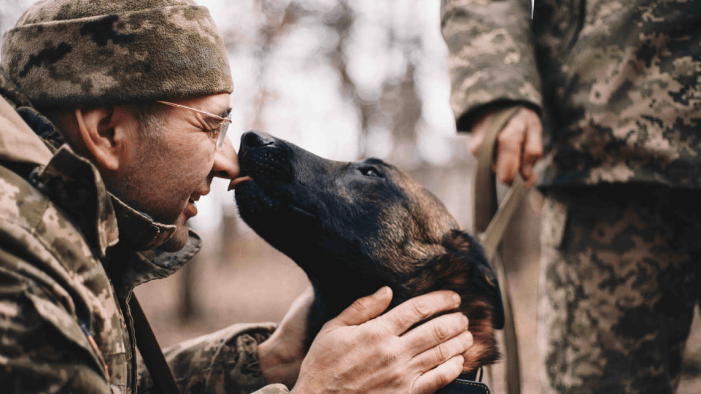 Разом обороняли "Азовсталь": зворушливе відео зустрічі  військового із його псом