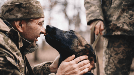 Вместе обороняли "Азовсталь": трогательное видео встречи военного с его псом - 285x160