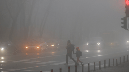 Туман, осадки и ветер — где завтра будет ухудшение погоды - 290x166