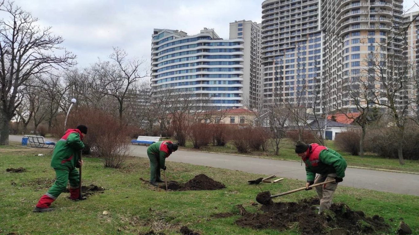 Одесса озеленяется — коммунальщики приступили к высадке деревьев во всех районах города