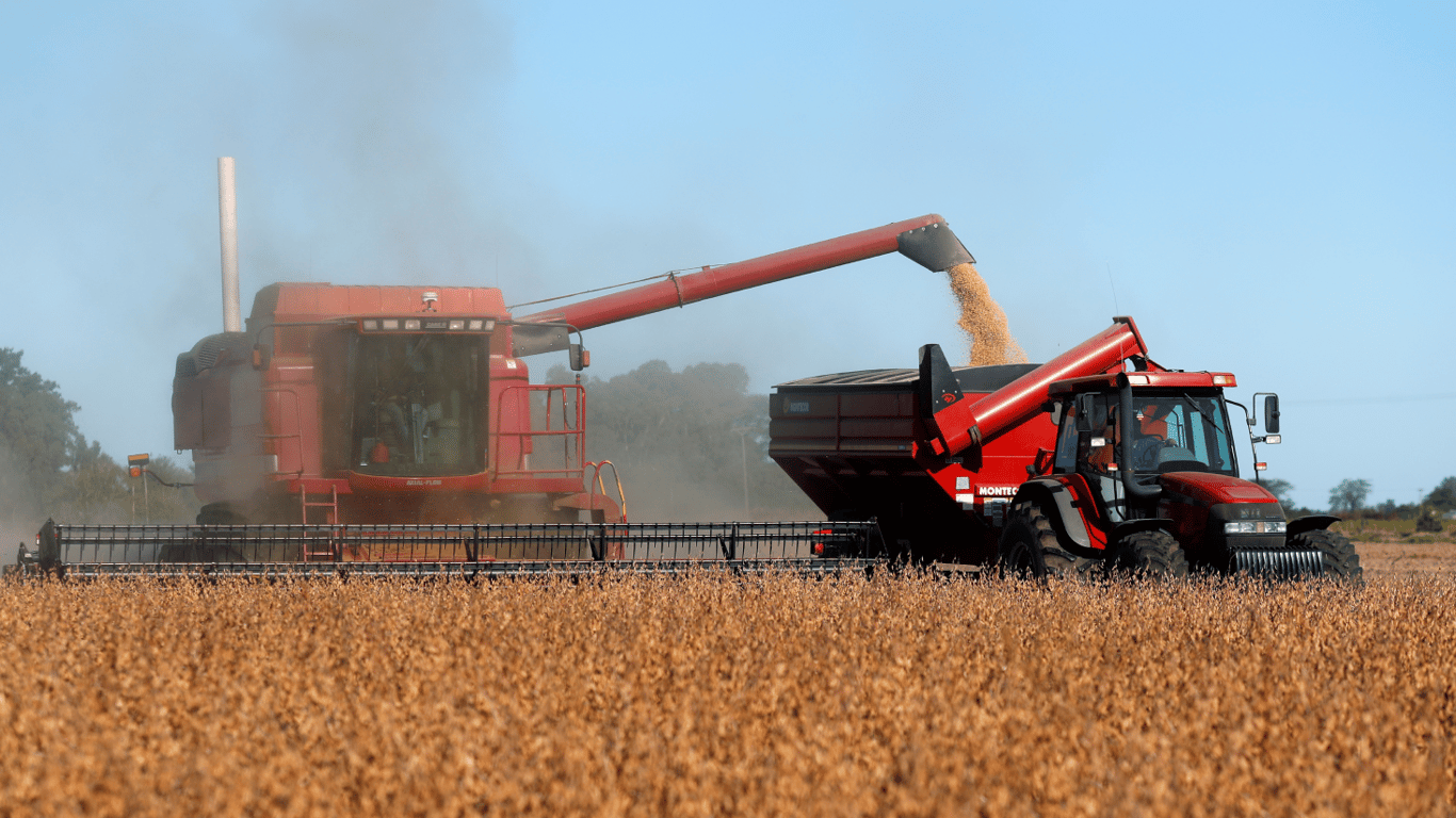 Цены на зерно 4 июля 2024 года — сколько стоит тонна сои