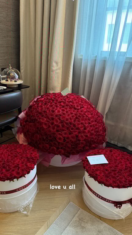 Девушка Михаила Мудрика