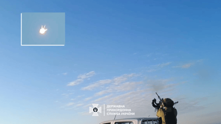 Пограничники показали кадры уничтожения ударных дронов над Одесчиной - 285x160