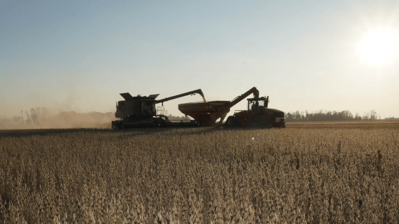 Цены на зерновые в Украине по состоянию на 7 апреля 2024 года