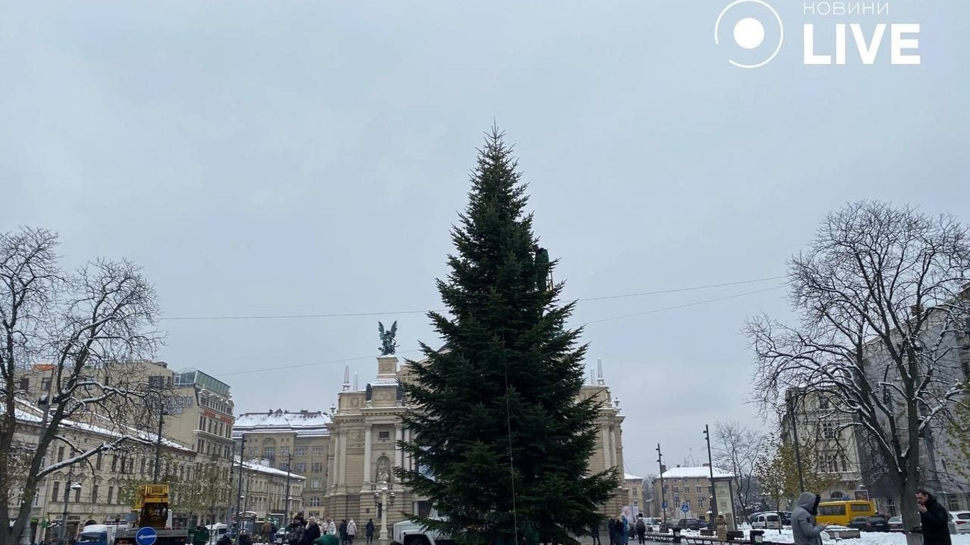 Во Львове уже устанавливают новогоднюю елку