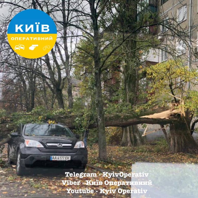 Последствия непогоды в Киеве 28 октября