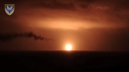 Воздушные силы показали, как ночью уничтожали дроны над Одесчиной - 285x160
