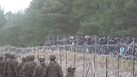 Мигранты с Беларуси штурмуют границу Польши - 285x160