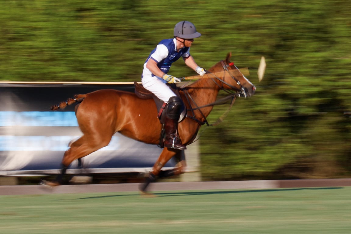 Принц Гаррі