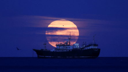 РФ атакувала БпЛА турецьке судно VIVA в зерновому коридорі — ВМС - 328x184