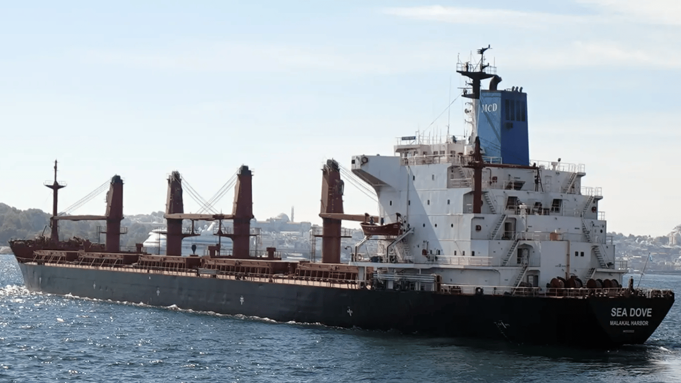 В портах Великої Одеси збільшилась кількість суден — що відомо про експорт