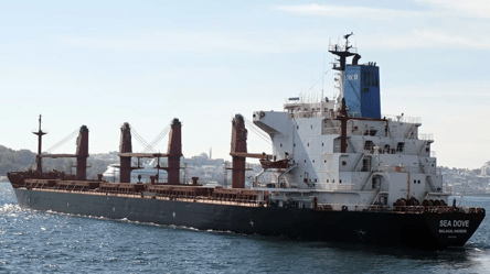 В портах Большой Одессы увеличилось количество судов — что известно об экспорте - 285x160