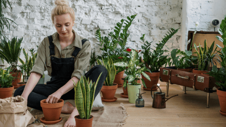 Опасный цветок смерти — принесет одиночество и беду - 285x160