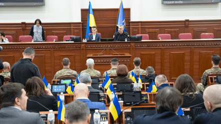 Київрада закликала владу не посилювати податковий тиск на ФОП - 290x160