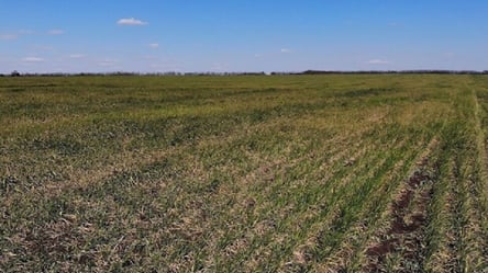 Навіть не покарали: на Одещині приватна фірма незаконно використовувала землю аграрного ліцею - 285x160
