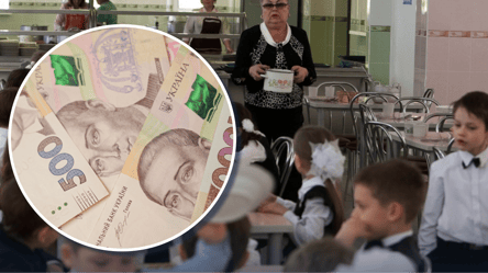 Деньги вместо обедов — кто может получить компенсацию стоимости питания - 285x160