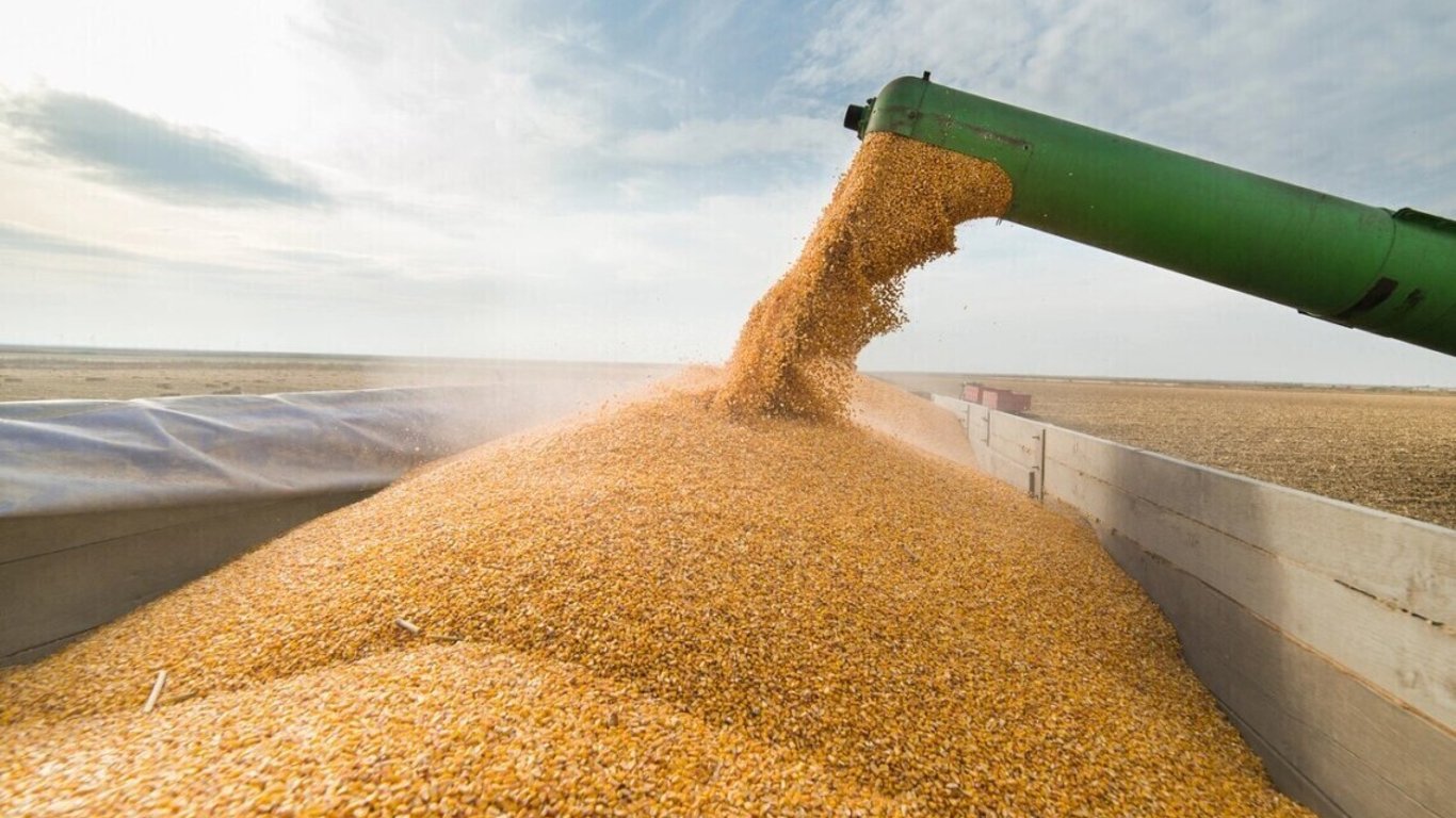 Румыния ввела запрет на импорт украинского зерна