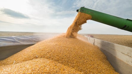 Румунія ввела заборону на імпорт українського зерна: що не можна транспортувати - 285x160
