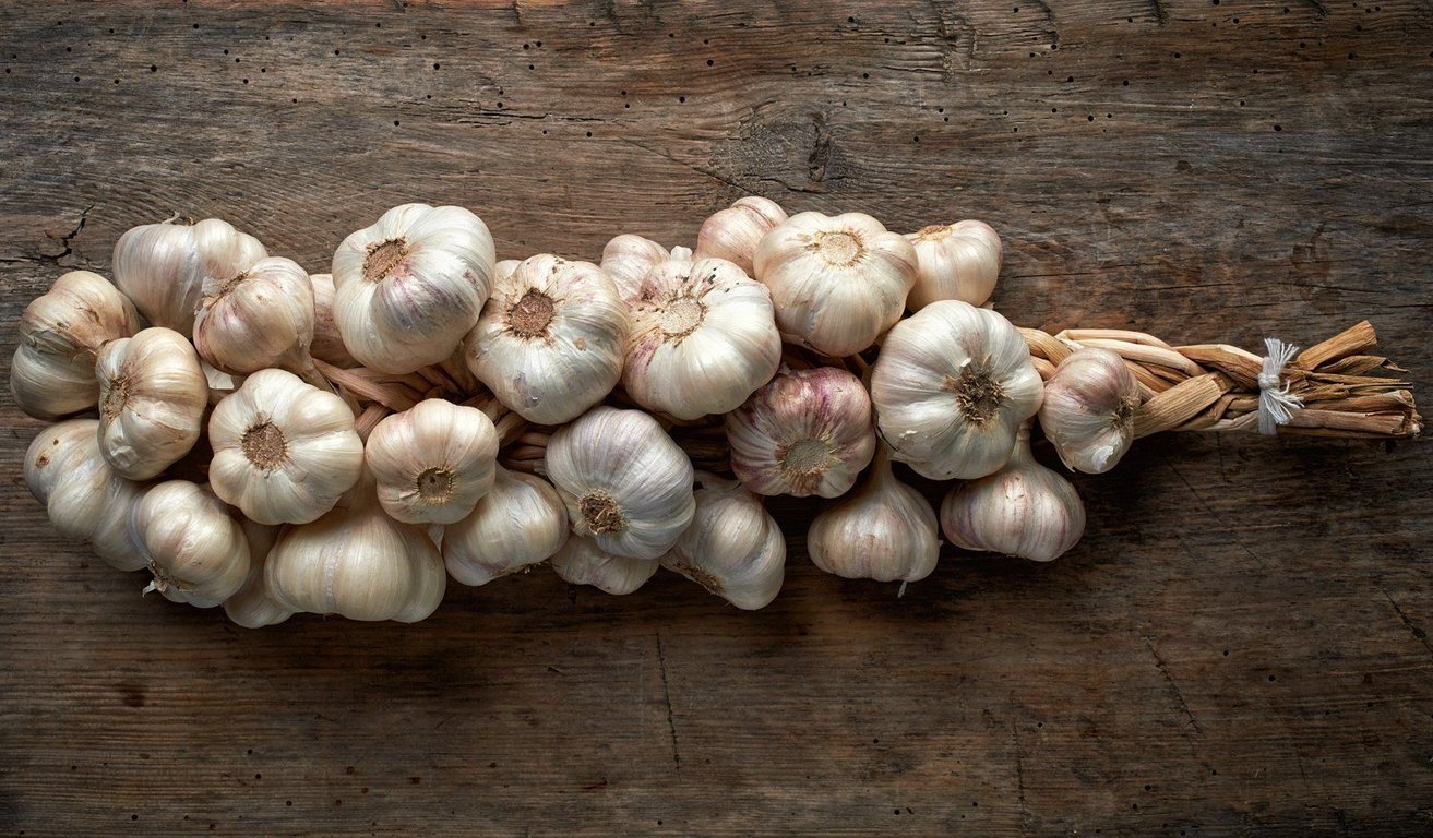 Як правильно зберігати часник, щоб він не пожовтів, не засох та був свіжим