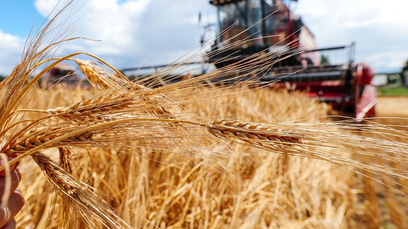 Ціни на зернові в Україні станом на 27 жовтня 2023