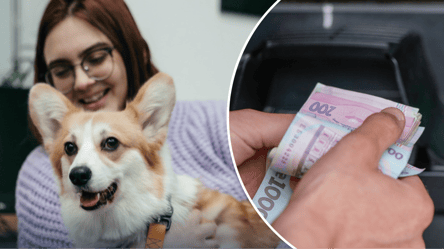 Штрафи і конфіскація тварини: за які дії українців можуть суворо покарати в липні - 285x160